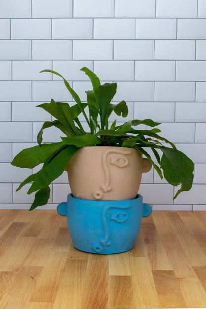 Handmade Quirky Face Pot - Whimsical Plant Holder for Home Decor