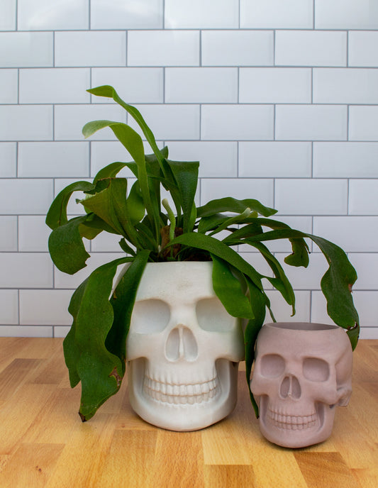Large Handmade Skull Cement Planter - Unique Gothic Garden Accent
