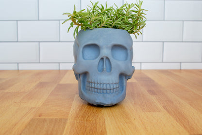 Small Handmade Skull Cement Planter - Unique Gothic Garden Accent